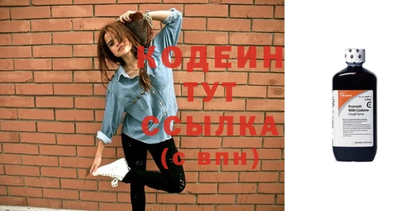 стаф Осинники