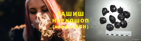 стаф Осинники