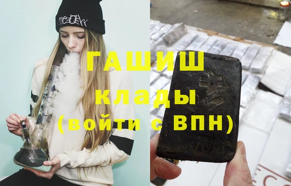 стаф Осинники
