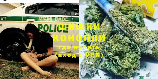 стаф Осинники
