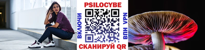 Галлюциногенные грибы Psilocybine cubensis  Берёзовский 
