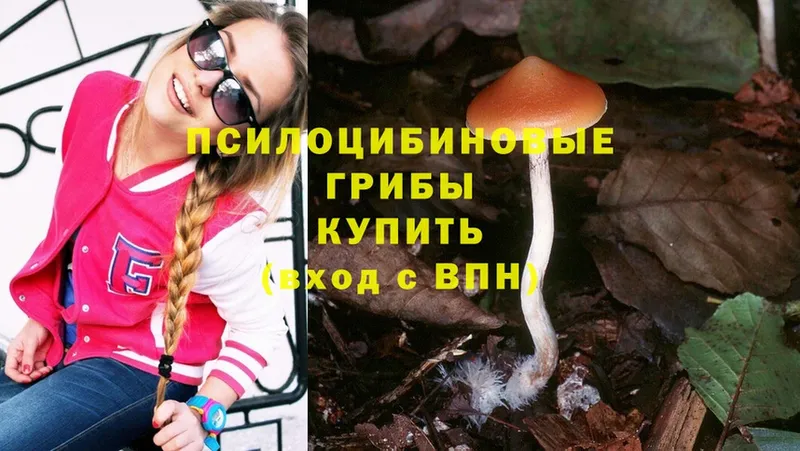 купить закладку  Берёзовский  Галлюциногенные грибы Psilocybine cubensis 